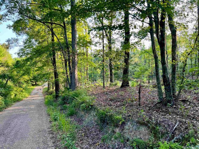 2735 Brandy Rd, Home with 0 bedrooms, 0 bathrooms and null parking in New Diana TX | Image 21