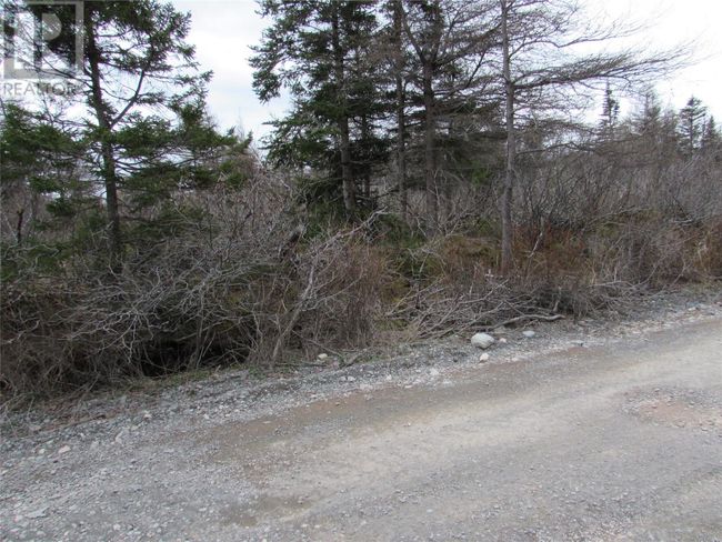 45 New Line Road, Home with 0 bedrooms, 0 bathrooms and null parking in Colliers NL | Image 4
