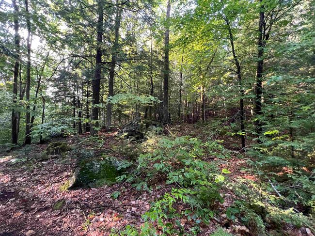 Map 6, Lot 38 Chadwick Hill Road, Home with 0 bedrooms, 0 bathrooms and null parking in Webster NH | Image 14