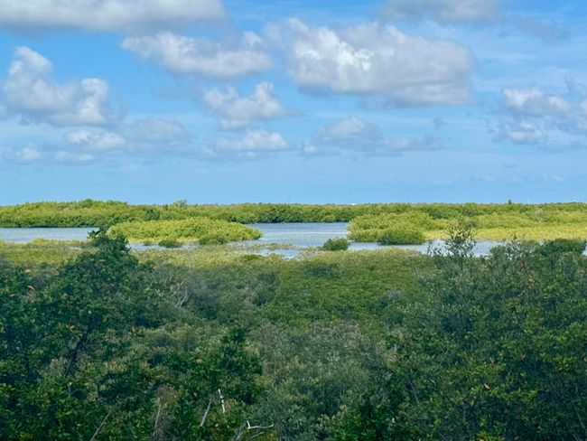 view from covered porch | Image 9