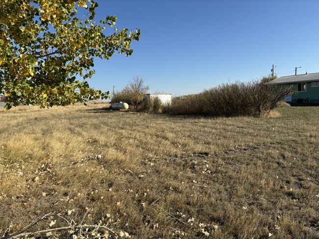 Back yard | Image 43