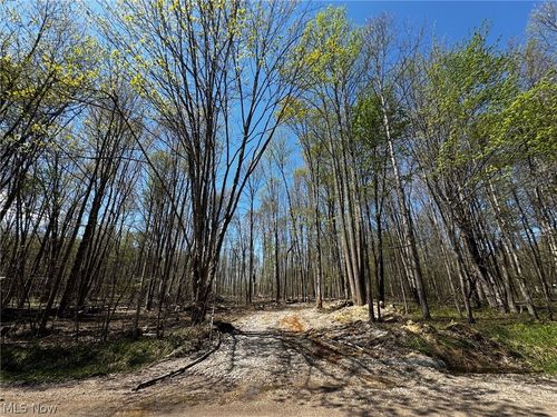 v/l Hines Road, Kingsville, OH, 44048 | Card Image