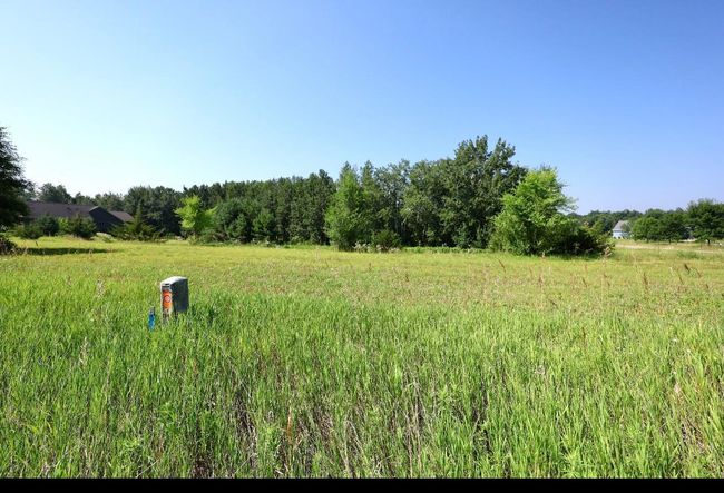 IMG_3043.jpeg | Image 7