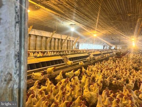 378 Mountain View Rd, Purgitsville, WV, 26852-8017 | Card Image