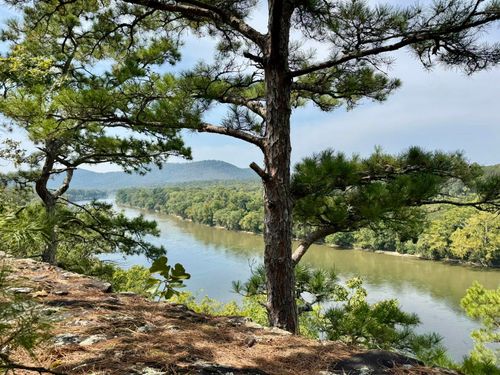 70 Mount Olive Rd, Melbourne, AR, 72556 | Card Image