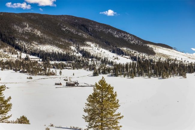 82 Potentilla Ln, Home with 3 bedrooms, 4 bathrooms and null parking in KEYSTONE CO | Image 41