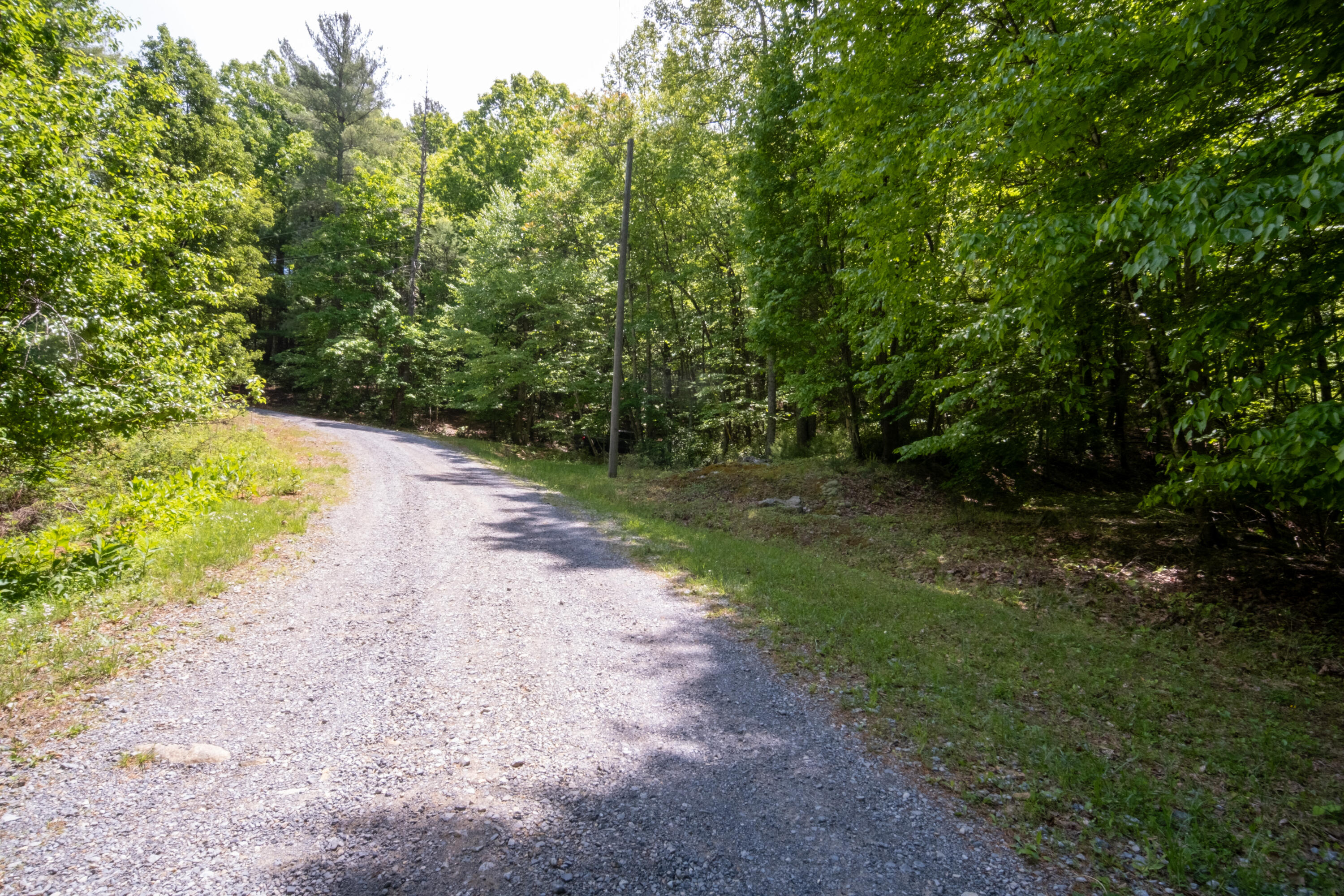 Land in Blue Ridge 4
