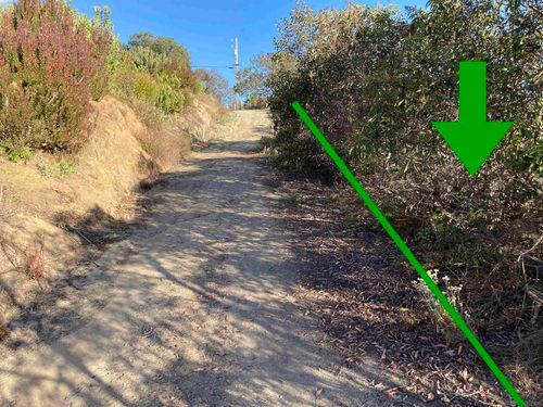 13723 Pauma Vista Dr, Valley Center, CA, 92082 | Card Image