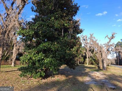 0 Martin, Home with 0 bedrooms, 0 bathrooms and null parking in Folkston GA | Image 1