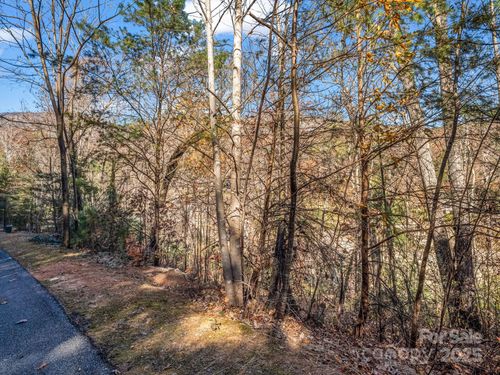167 Firefly Pt, Lake Lure, NC, 28746-0315 | Card Image