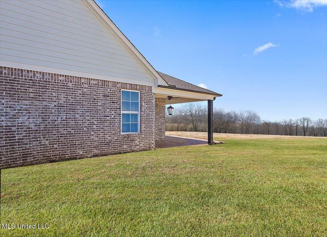 Panola | Image 37