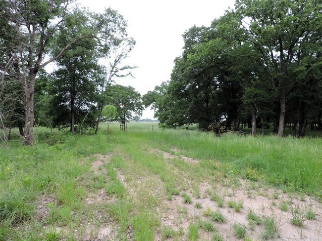 0 E Highway 175, Home with 0 bedrooms, 0 bathrooms and null parking in Mabank TX | Image 15