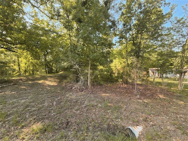 0 Oakwood Ln, Home with 0 bedrooms, 0 bathrooms and null parking in Trinity TX | Image 19