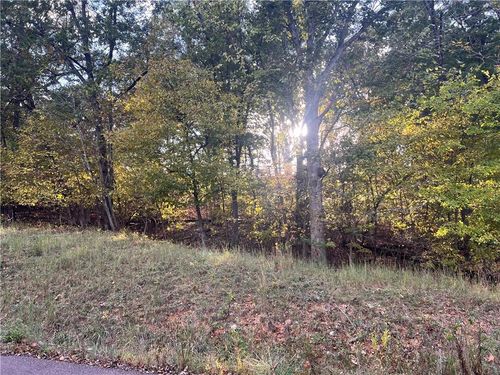 8, 9, 12 &SW 1/4 Red Hollow Road, Gravois Mills, MO, 65037 | Card Image