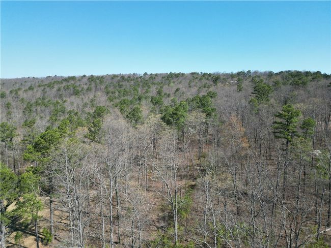 82 Nc 8208, House other with 5 bedrooms, 4 bathrooms and null parking in Jasper AR | Image 56