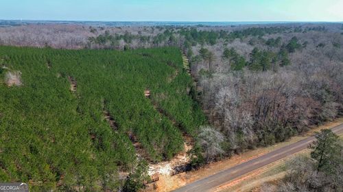 0 Dozier Rd, Ellaville, GA, 31806 | Card Image