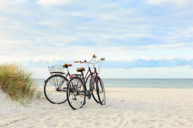 15804 3 Rd St E, House other with 2 bedrooms, 2 bathrooms and null parking in REDINGTON BEACH FL | Image 17