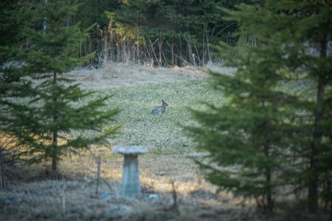 MF_N_GraceLake-40.jpg | Image 86