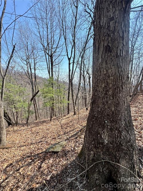 0000 Pinnacle Parkway, Union Mills, NC, 28167 | Card Image
