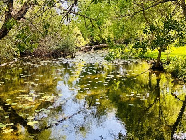 5 Min walk to Hurst Creek in the Hamilton Greenbelt | Image 28