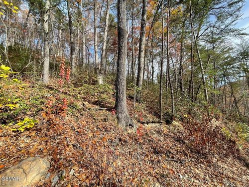 Lot 36R Sugar Mtn Way, Pigeon Forge, TN, 37863 | Card Image