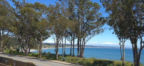 unit-206-815 Balboa Ave, Capitola, CA, 95010-2341 | Card Image