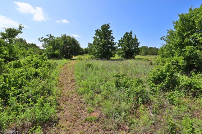 View of local wilderness | Image 7