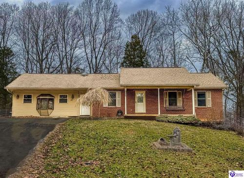 40 Sunflower Ln, Brandenburg, KY, 40108-7203 | Card Image