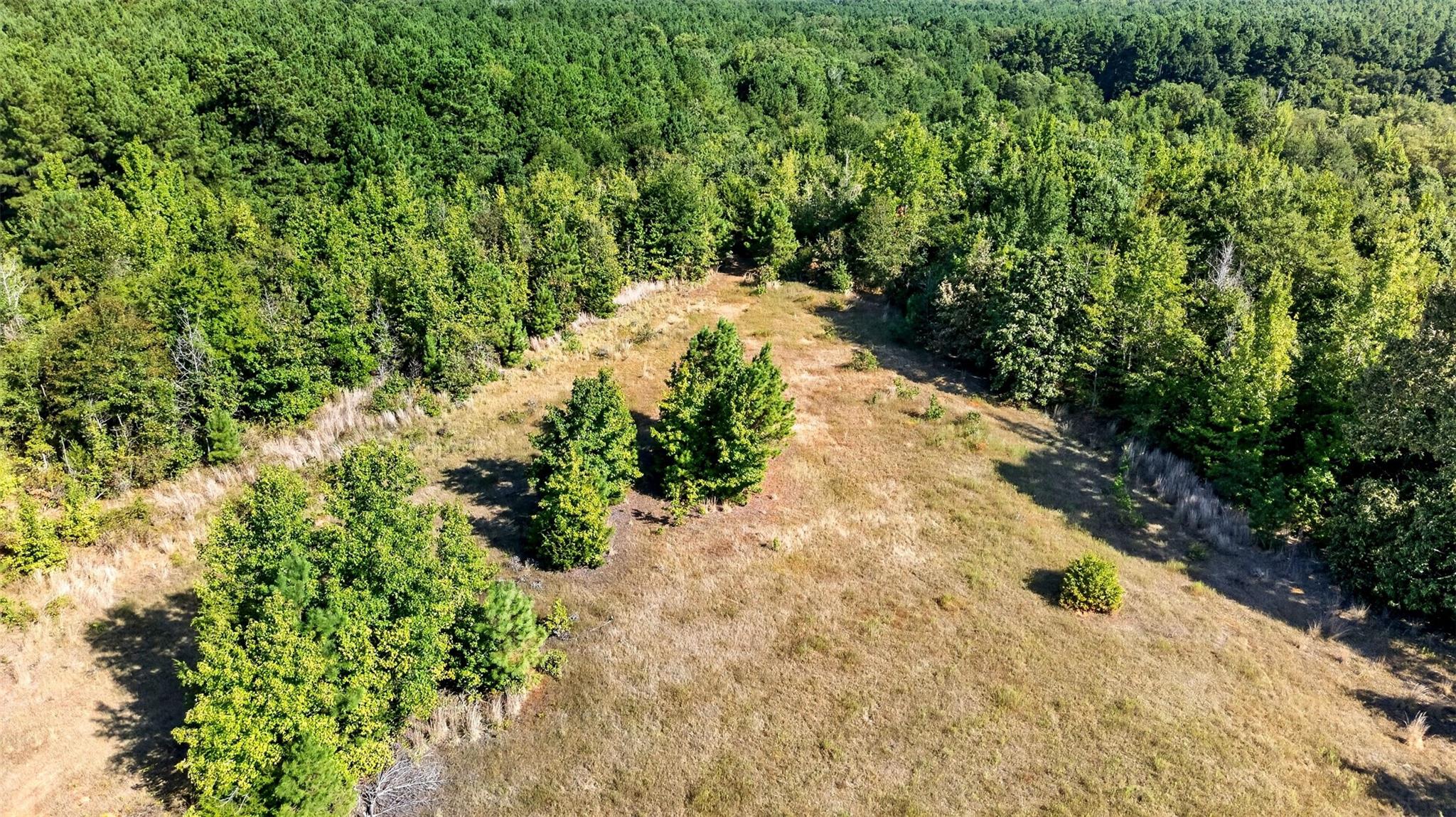Land in Gilmer 4