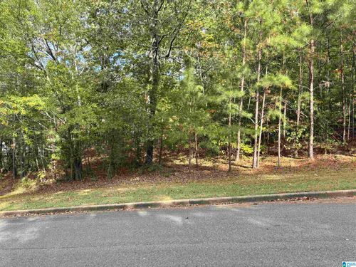 9-Lot 9 White Oak Cir, DORA, AL, 35062-5478 | Card Image