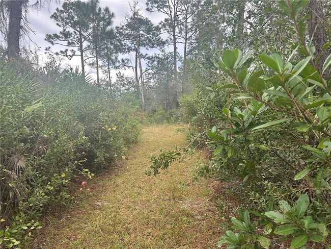 1106 Greenbriar Dr, Home with 0 bedrooms, 0 bathrooms and null parking in CHRISTMAS FL | Image 4