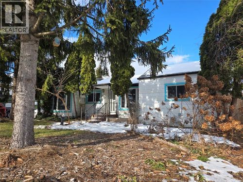 {{alt}} | Card Image