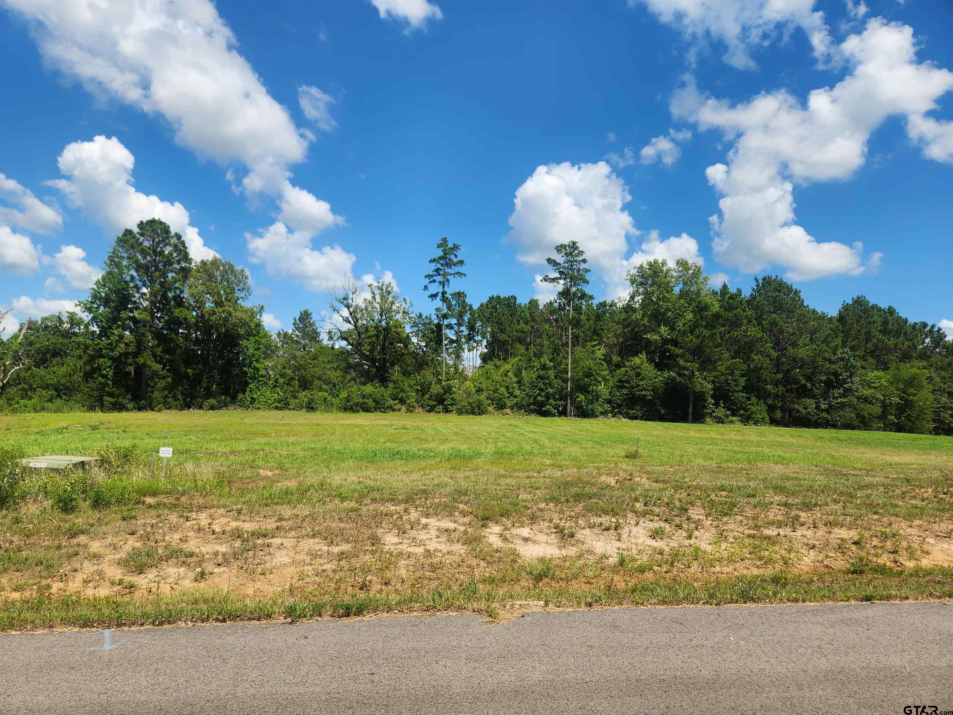 Land in Troup 3
