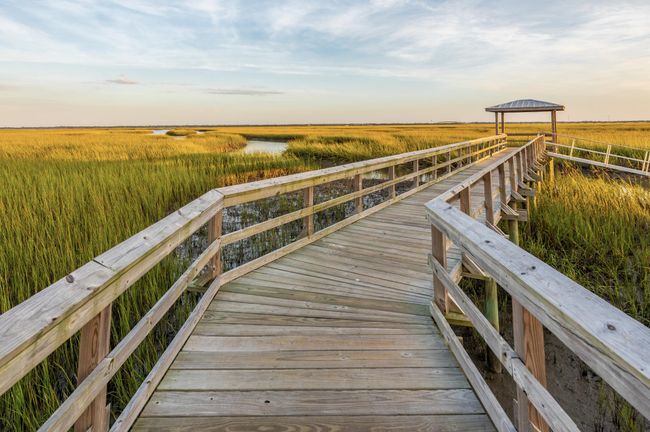 Neighborhood dock | Image 49