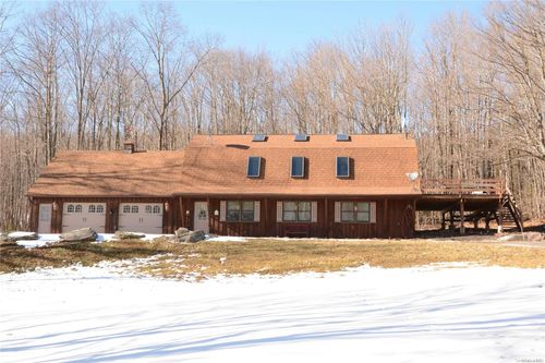 107 Mt Pisgah Road, Windham, NY, 12496 | Card Image