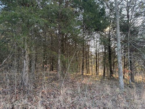 0 Billy Sparks Road, Edmonton, KY, 42729 | Card Image