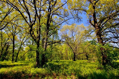 00 Garner Ln, Berryville, AR, 72616 | Card Image