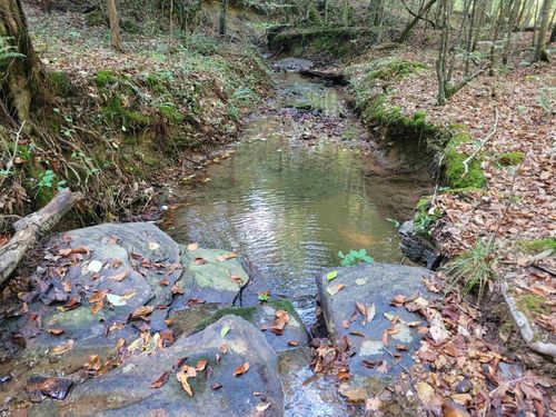 00 Highway 64, Olivehill, TN, 38475 | Card Image