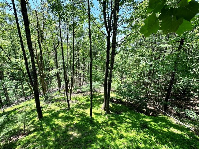 151 Powhatan Trl, House other with 3 bedrooms, 2 bathrooms and null parking in Fancy Gap VA | Image 43