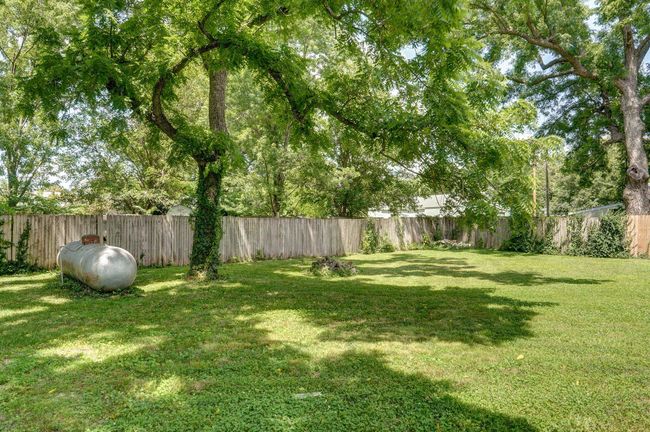 Backyard | Image 47
