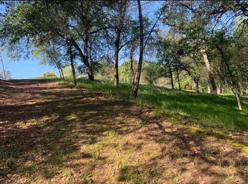 Land in Oroville 5