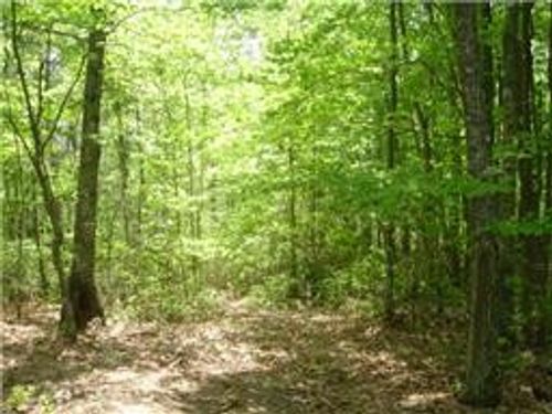 0 Boulder Lake Dr, Coalmont, TN, 37313 | Card Image