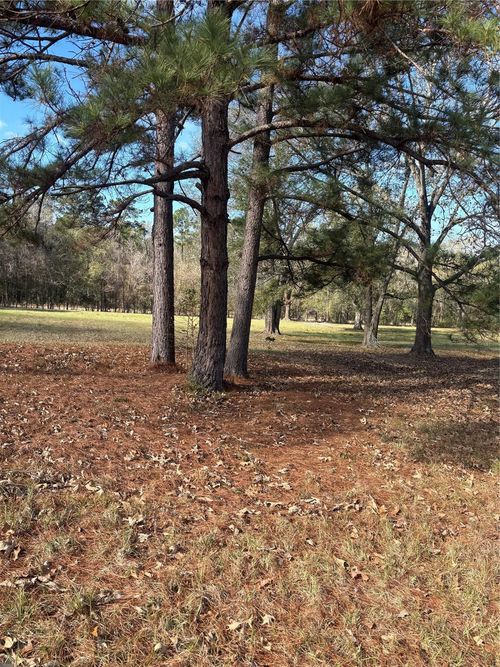 2956 Us Highway 59 S, Livingston, TX, 77351-2194 | Card Image