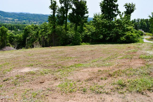 18 Crown Hill Ln, Home with 0 bedrooms, 0 bathrooms and null parking in Maynardville TN | Image 7