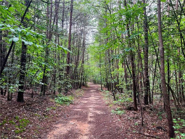 0 N Old Pendleton Rd, Home with 0 bedrooms, 0 bathrooms and null parking in Easley SC | Image 9