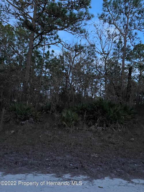 0 Malibar Rd, Brooksville, FL, 34614 | Card Image