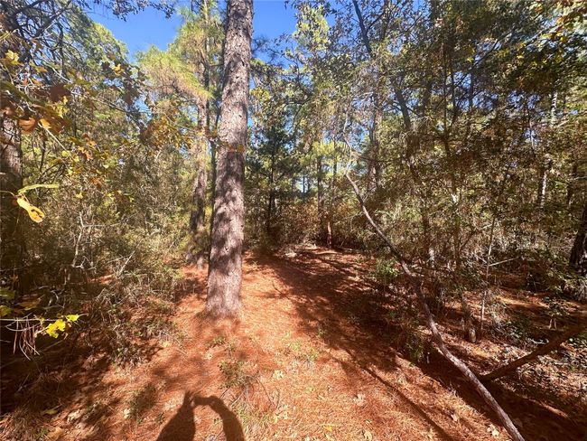 000 Pine Hollow Dr, Home with 0 bedrooms, 0 bathrooms and null parking in Bastrop TX | Image 7