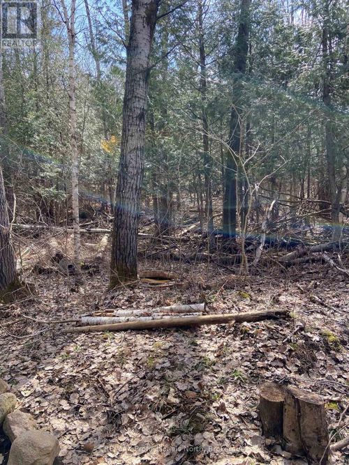 N/A Chelsea Lane, Algonquin Highlands (Stanhope), ON, K0M1J0 | Card Image