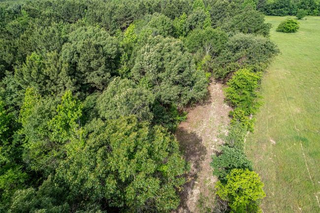 0 Johnson Rd, Home with 0 bedrooms, 0 bathrooms and null parking in Winona TX | Image 22