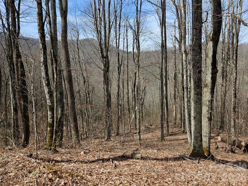 000 Forbidden Cove, Waynesville, NC, 28785 | Card Image